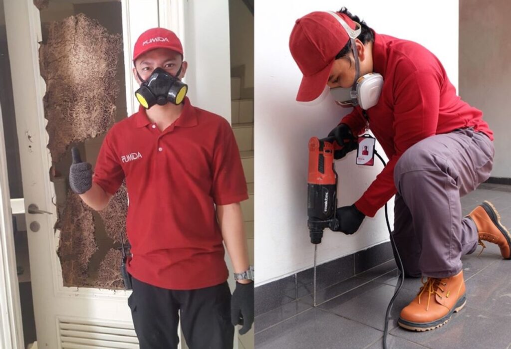 Jurus Jitu Lenyapkan Kaum Rayap Dari Rumah Anda Dengan Bantuan Basmi Rayap Jakarta